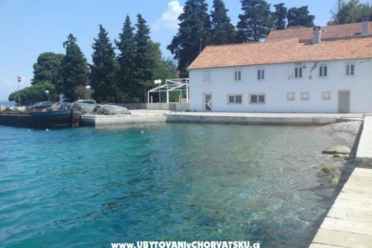Apartments Dekovi – photo 8