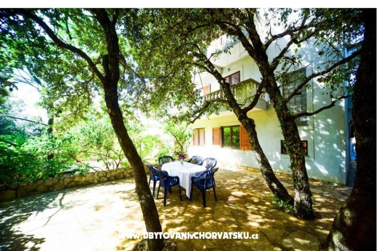 Apartments Mrva – photo 8