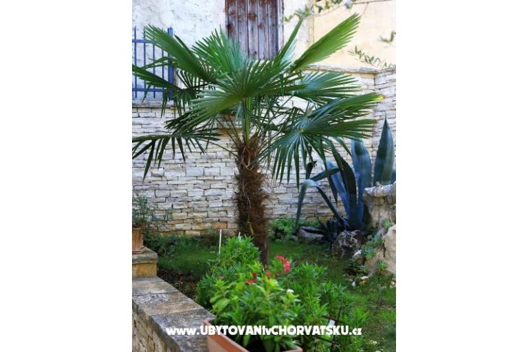 Casa Oleander  – photo 3