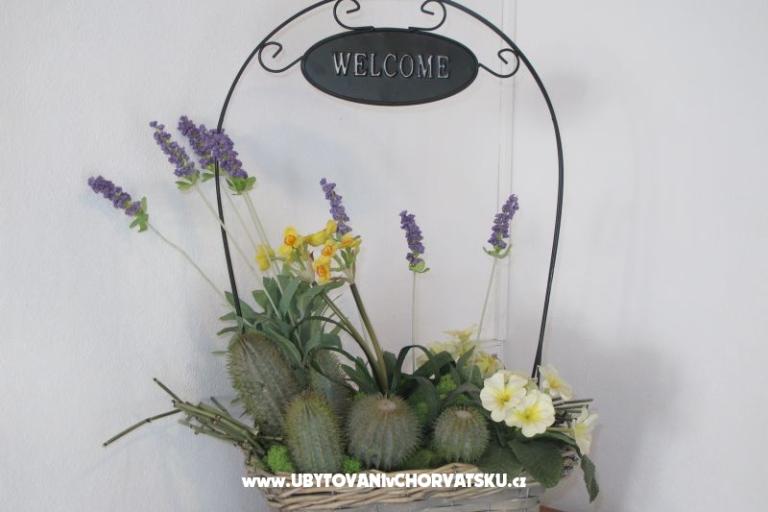 House Toma – photo 13