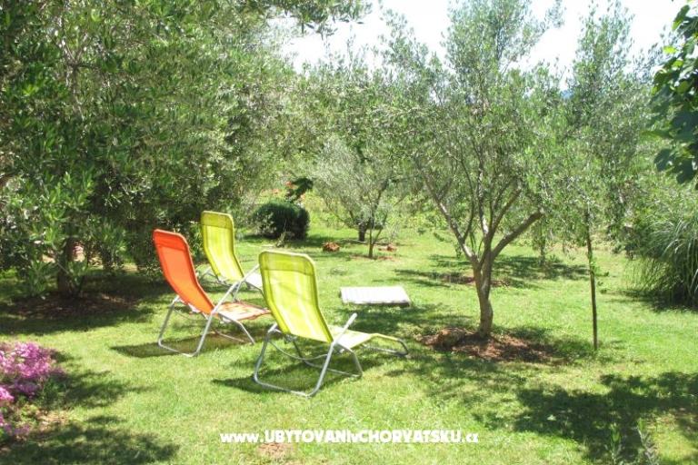 House Toma – photo 6