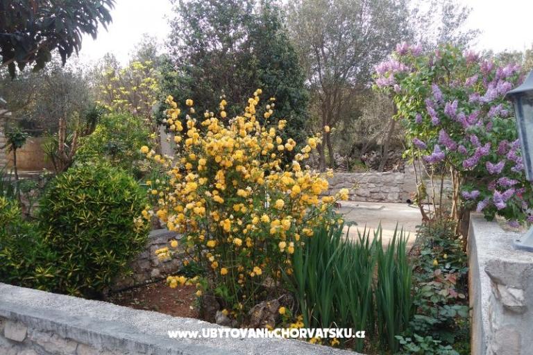 Vacation house Ivan – photo 12