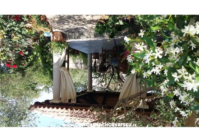 Apartmai Vitlov – photo 14