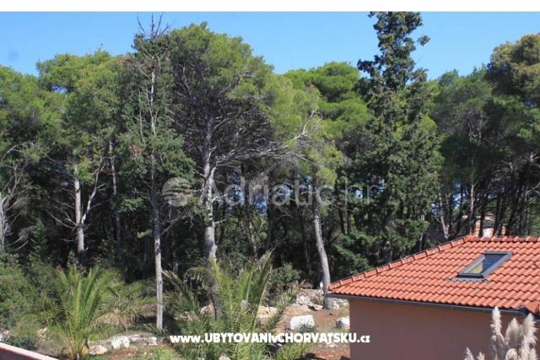 Apartments Mirjana – photo 14