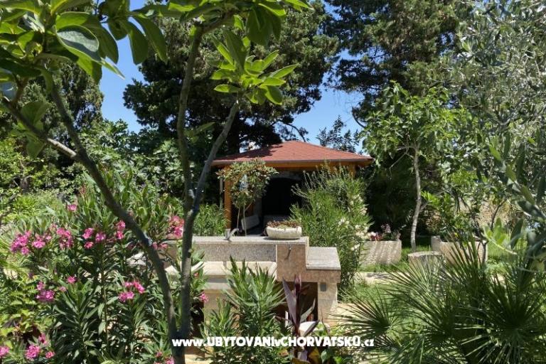 Villa Eden – photo 20