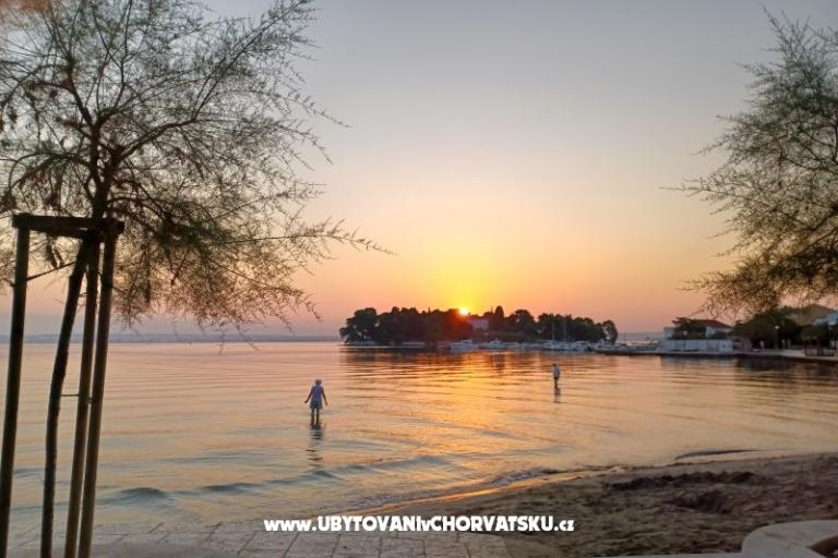 Villa Eden – photo 21