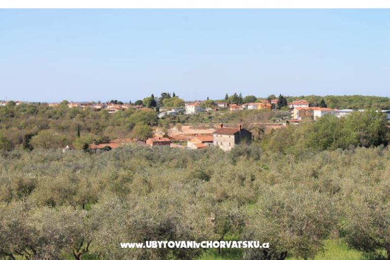 Apartma Olive garden – photo 15