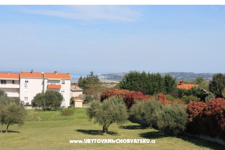 Apartma Olive garden – photo 16