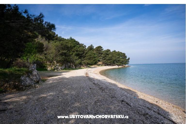 Apartma Olive garden – photo 17