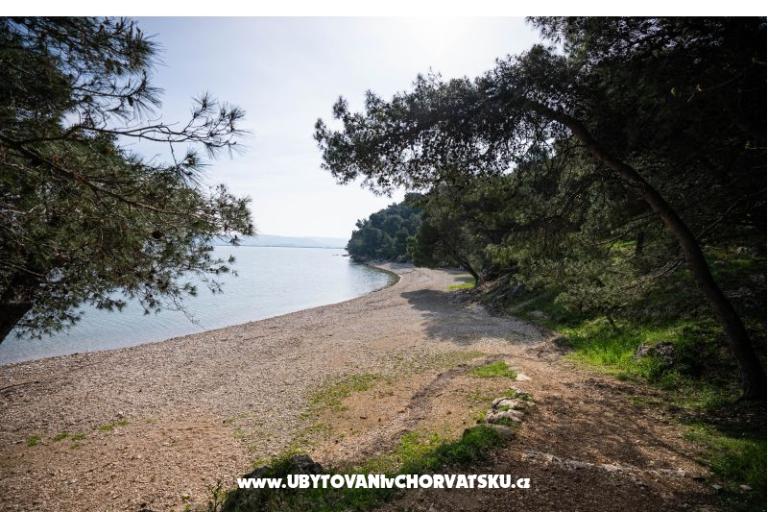 Apartma Olive garden – photo 18