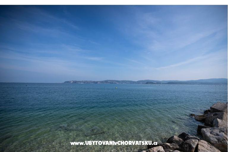 Apartma Olive garden – photo 19