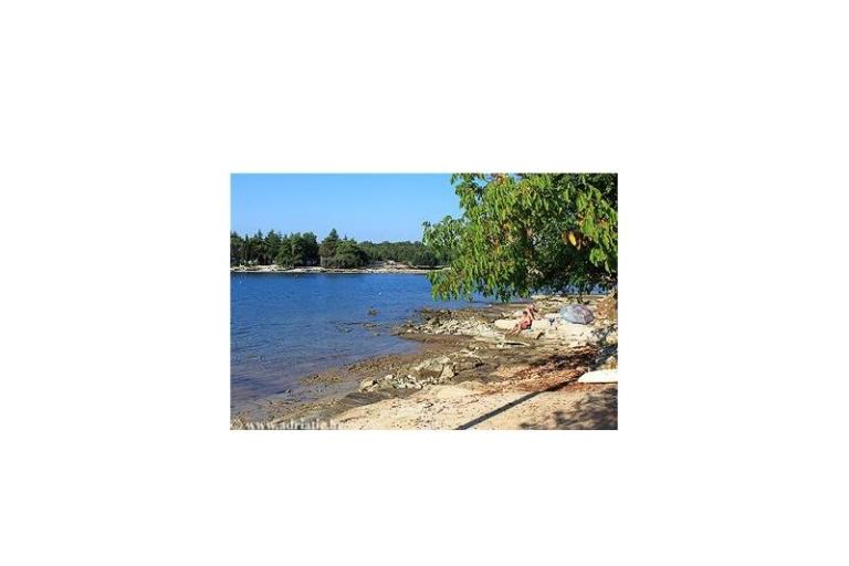 Apartment – photo 4