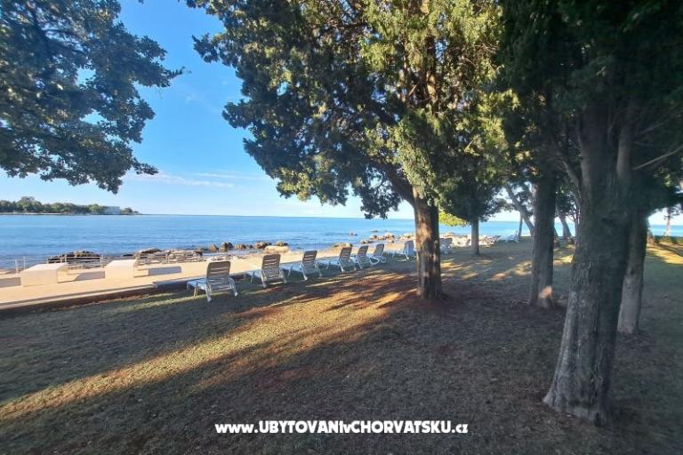 Apartments Boris – photo 11