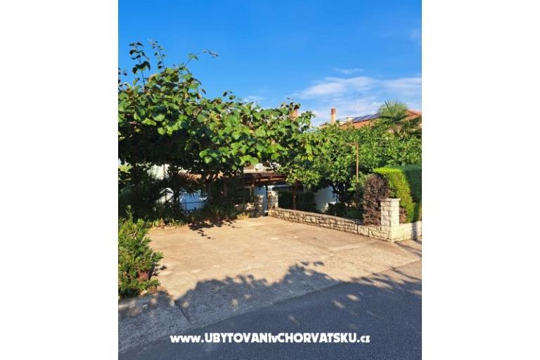 Apartments Boris – photo 8