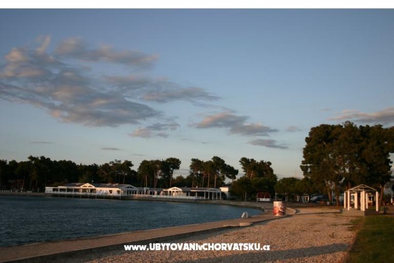 Apartments Jurišević – photo 10