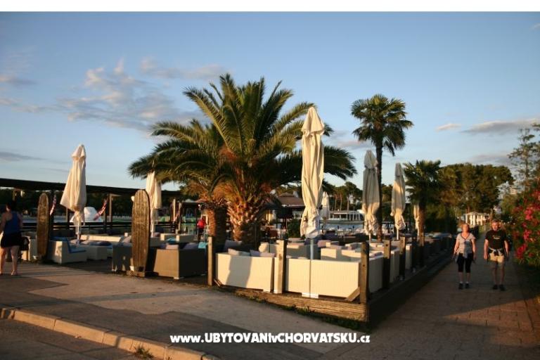 Apartments Jurišević – photo 11