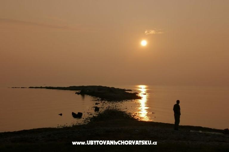 Apartments Jurišević – photo 4