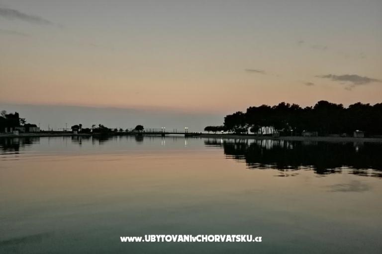 Apartments Jurišević – photo 6