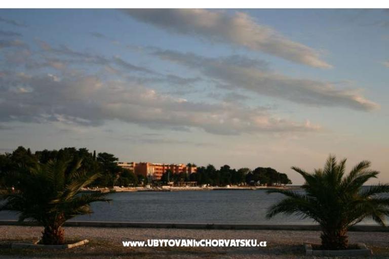 Apartments Jurišević – photo 7