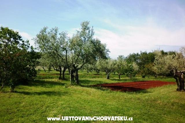 Apartments Linda – photo 3