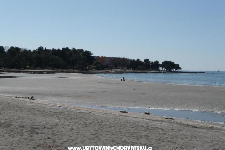 Apartments Maris  – photo 8