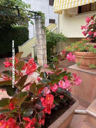 Apartments Maris  – photo 2