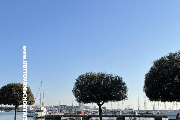 Apartments Maris  – photo 5