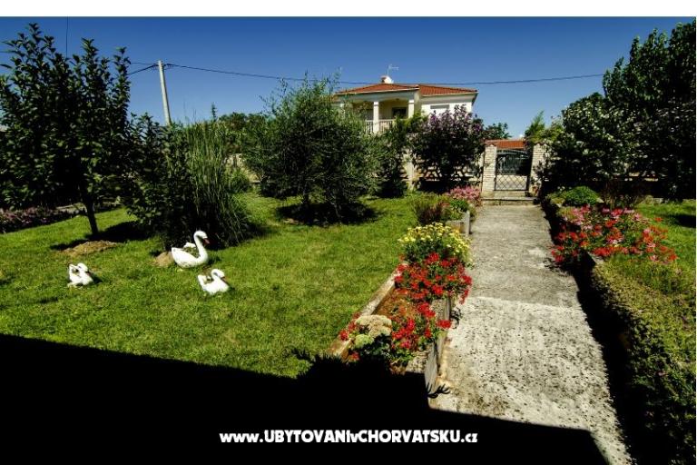 Apartments Paradinovic – photo 10