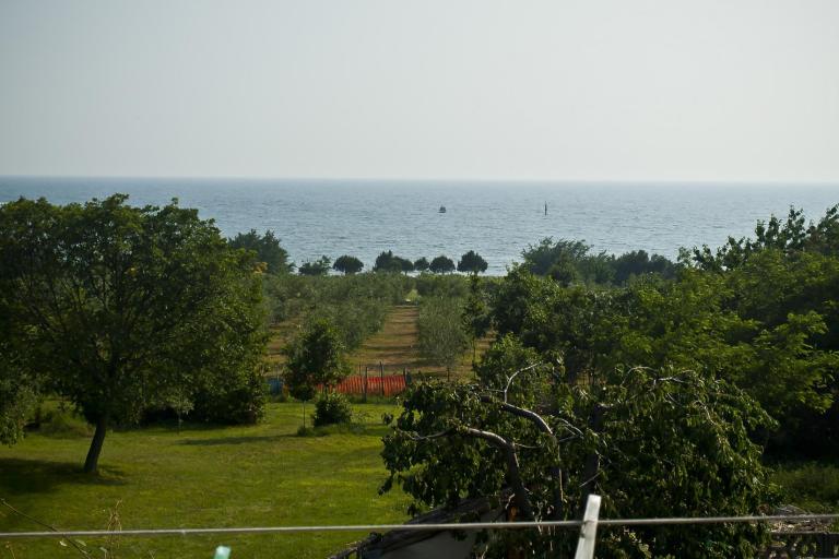 Apartments Paradinovic – photo 2