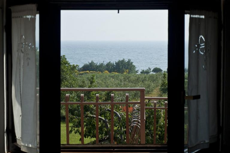 Apartments Paradinovic – photo 5