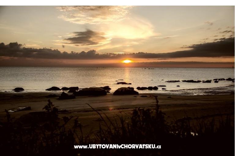 Apartments Paradinovic – photo 7