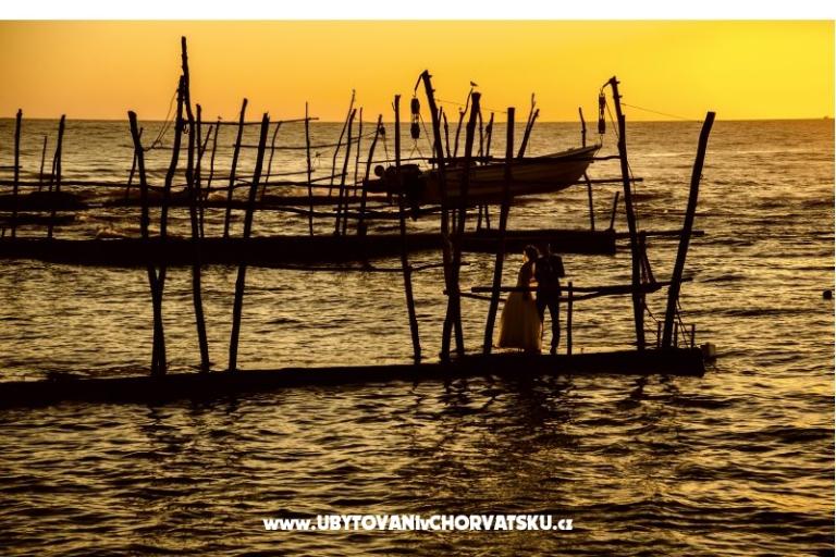 Apartments Paradinovic – photo 9