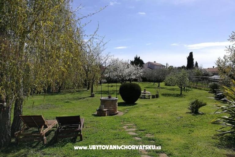 Apartments Jana – photo 8