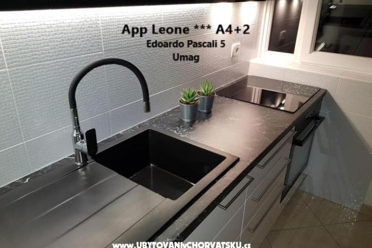 App Leone – photo 3