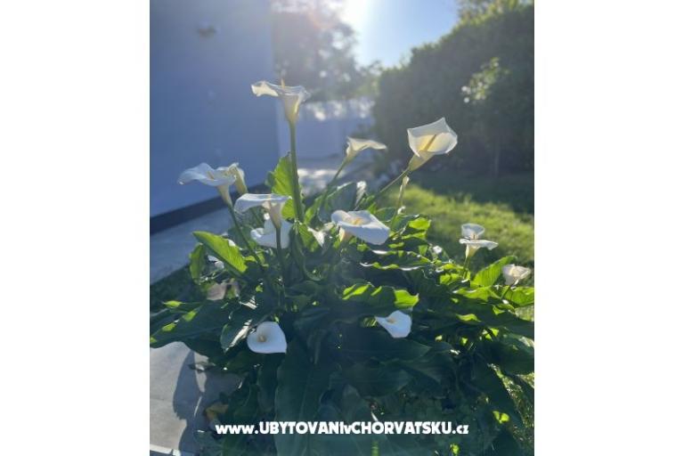 Holiday House Gabi – photo 18