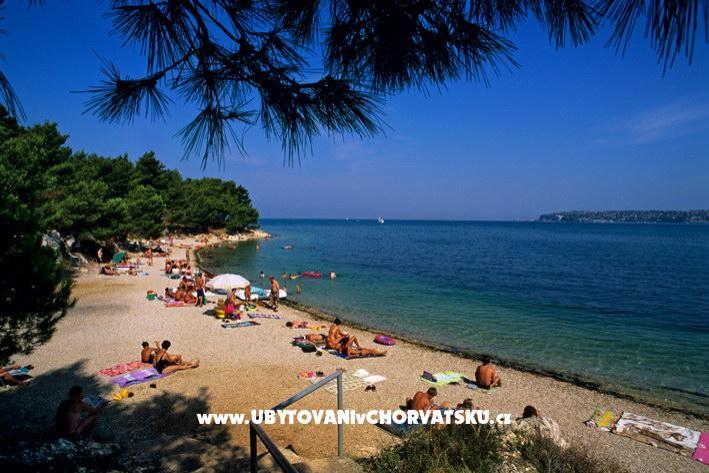 Apartments Lav – photo 7