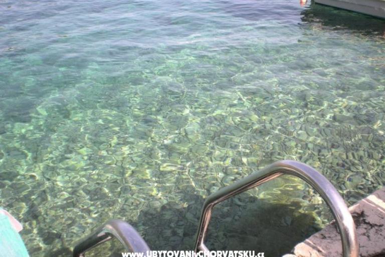 House Villa Rosa – photo 17