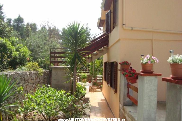 Gradina apartman – photo 12