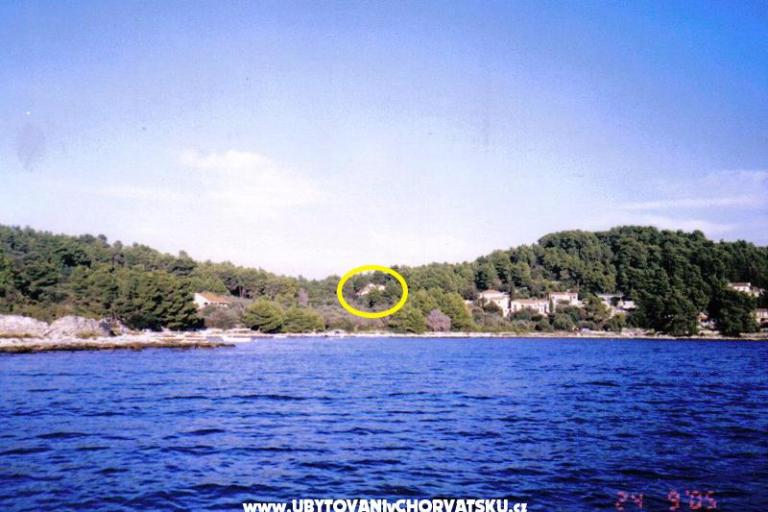 Gradina apartman – photo 2
