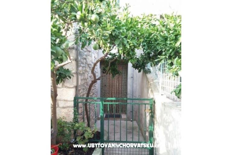 Kotarčevi dvori – photo 15