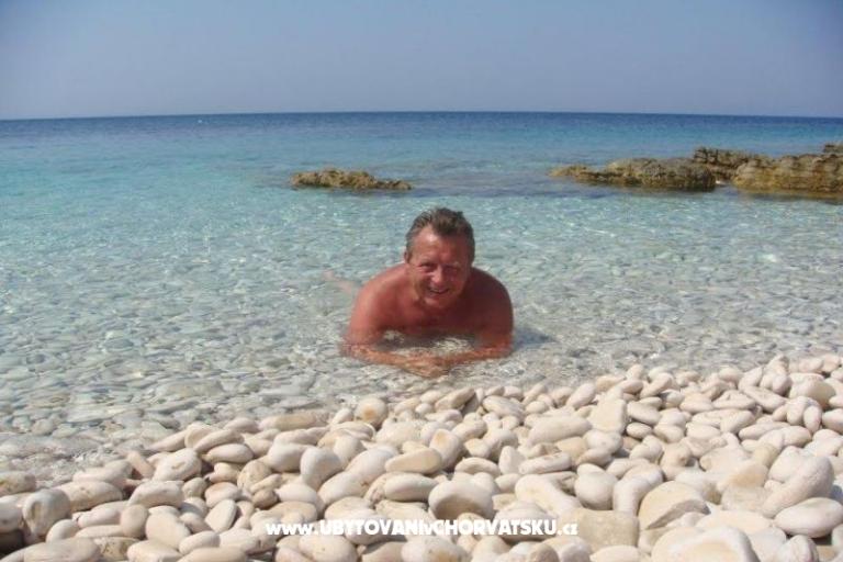 Kotarčevi dvori – photo 18