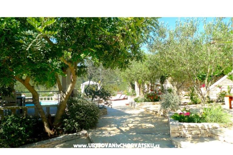 Stone house-Villa Poplat – photo 17