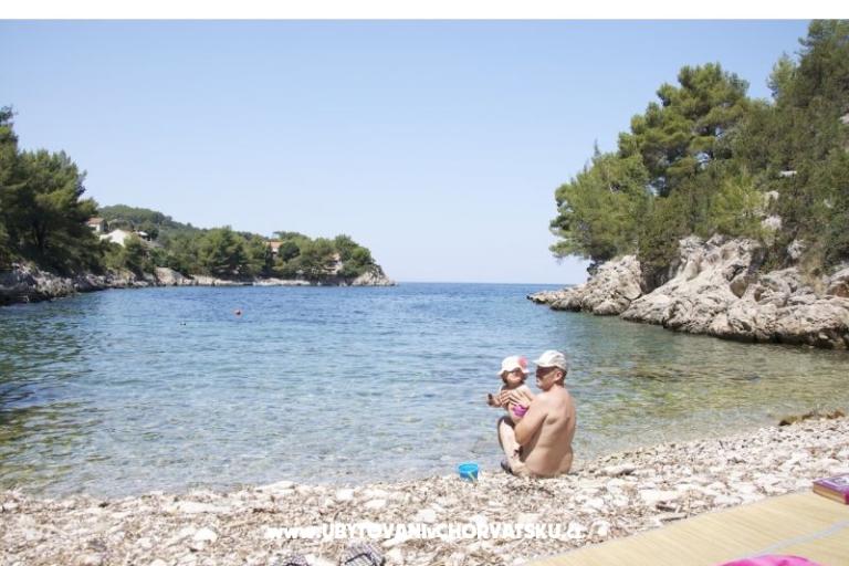 Stone house-Villa Poplat – photo 6