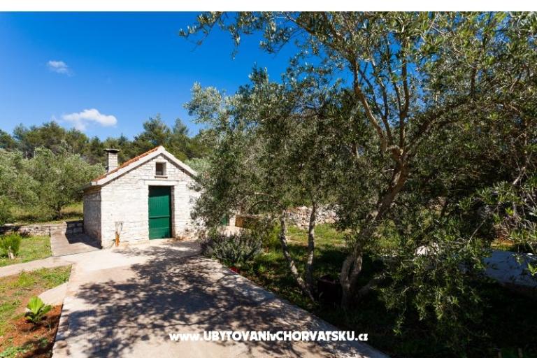 Villa Barbara / Zli stup – photo 18