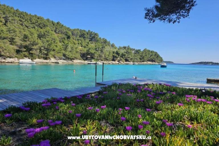 Villa Bell Aria Korcula – photo 10