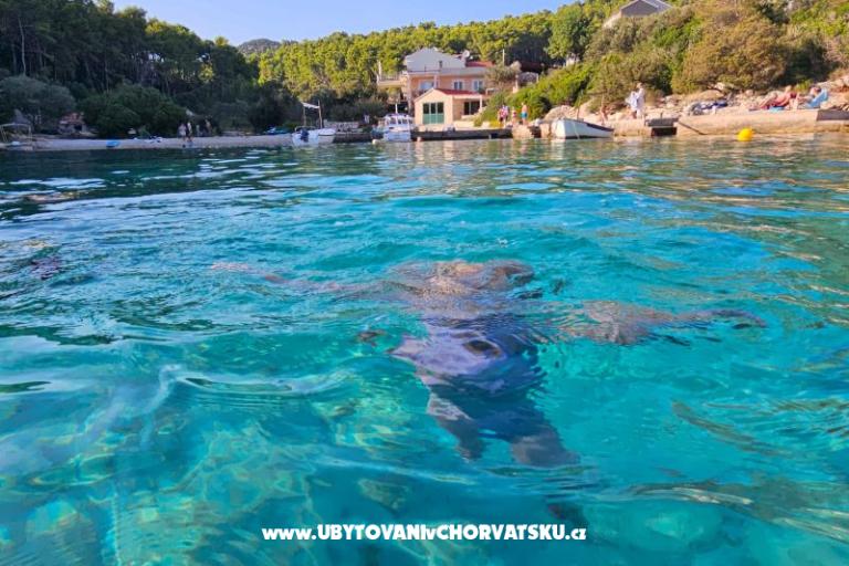 Villa Bell Aria Korcula – photo 11