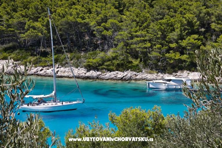 Villa Bell Aria Korcula – photo 16