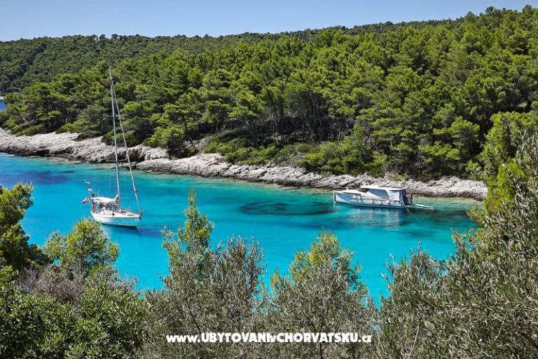 Villa Bell Aria Korcula – photo 9