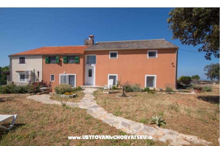 App Bonić – photo 145