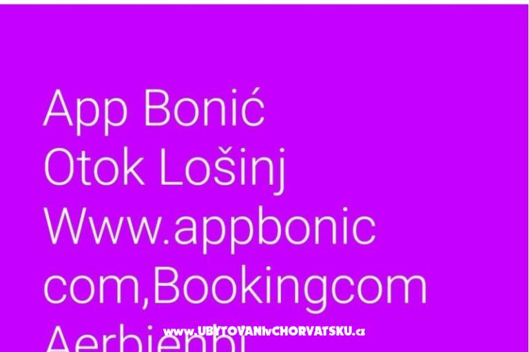 App Bonić – photo 49